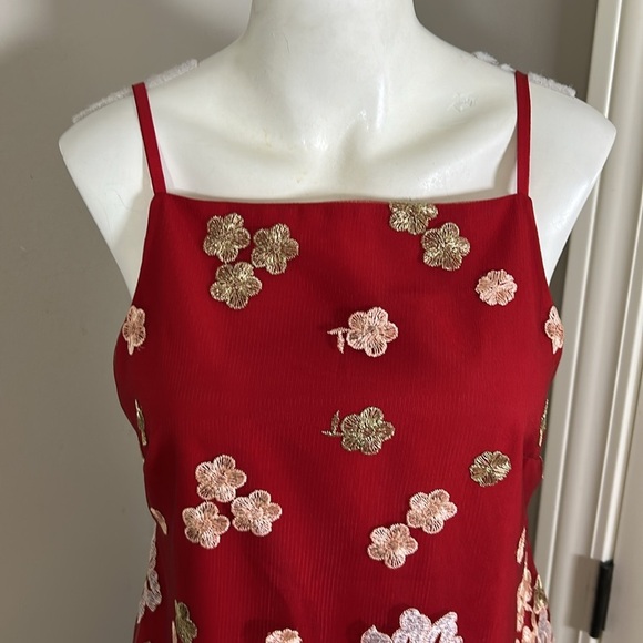 Free People x Backstage Australia Red Floral Dress Embroidered Lace Lined Sz M - Picture 4 of 15
